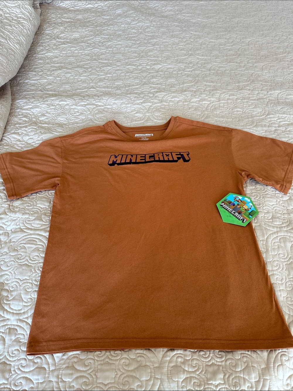 Minecraft Kids' Short Sleeve‎ Tee in Rust